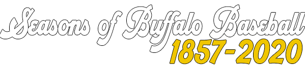 Seasons of Buffalo Baseball Book
